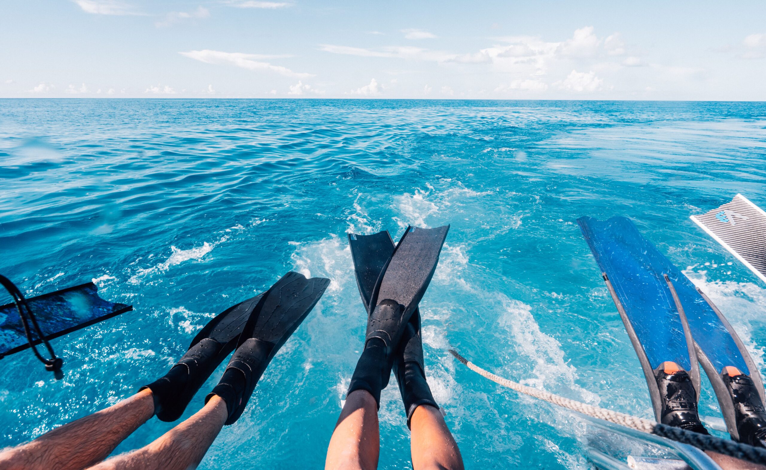 5 of The Best Freediving Fins