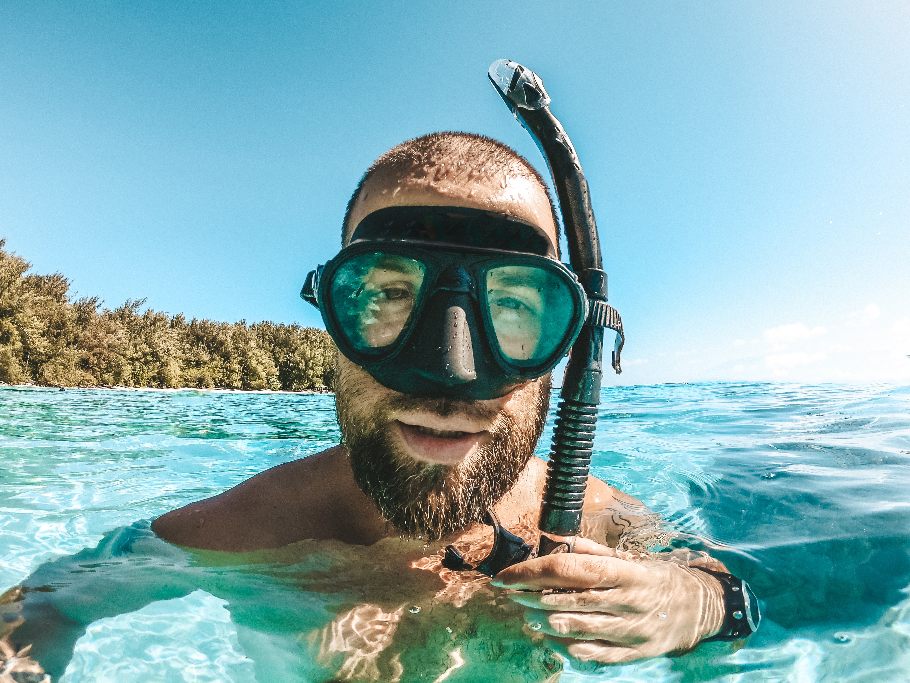 Best Freediving Masks What to look for